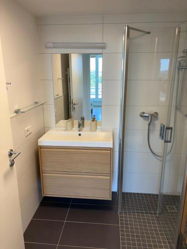 a bathroom with a sink and a shower at Apartment in Giessen mit Wetblick in Gießen