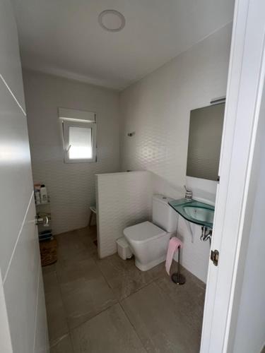 a bathroom with a toilet and a green sink at Isla Sicilia in Oliva