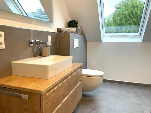 拉斯特德Ferienwohnung FLORI的带水槽和马桶的浴室