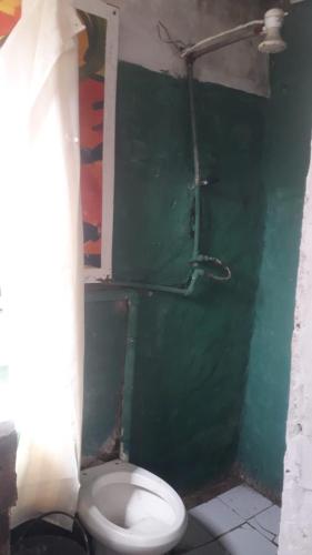 baño con aseo y pared verde en piesa una noche, en San Carlos