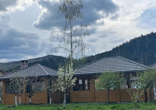 a house with a fence in front of it at Iedera Bucovinei in Suceviţa