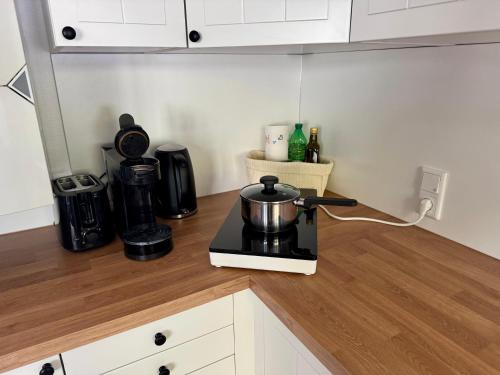a kitchen counter with a pot on a stove at Ferienwohnung Belina im Thüringer Wald in Tabarz
