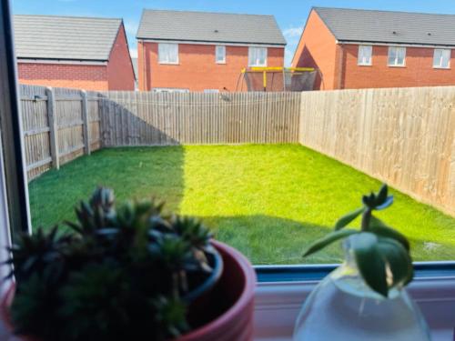 a view of a yard from a window with a plant at Cosy Home Stay in Nottinghamshire in Retford