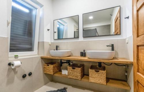 OpuzenにあるVilla Dolina apartmentのバスルームには2つの洗面台と2つの鏡がある