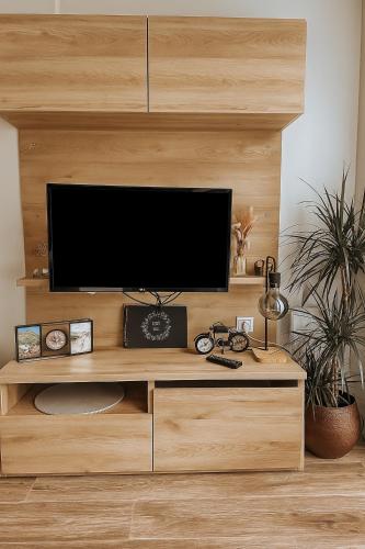 a flat screen tv sitting on top of a wooden entertainment center at Zeehuisje Naija in Renesse