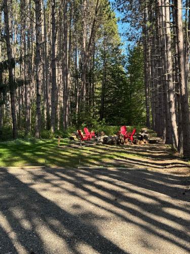 a group of red chairs in the middle of a forest at Shanty Creek, Golf, Families, Vacation, Pool Pass in Bellaire