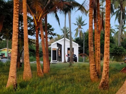 a house with palm trees in front of it at The Pesona Beach House in Bachok