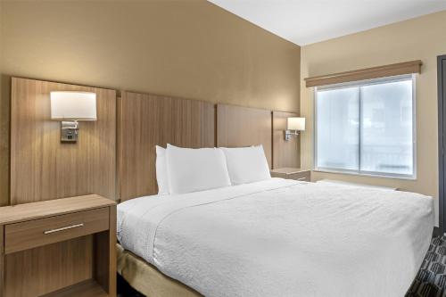 a hotel room with a bed and a window at Best Western Plus Zion Canyon Inn & Suites in Springdale