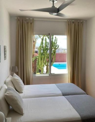 Coloradas House.
