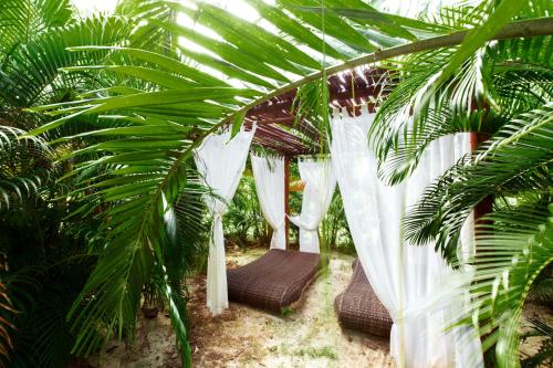 a group of chairs under a tree with white curtains at LA PERLA STUDIOS with ROOFTOP POOL and SPA - PLAYA LOS CORALES in Punta Cana