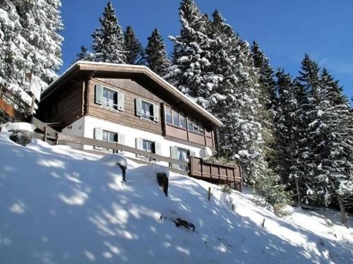 a house on top of a snow covered hill with trees at Almhaus Am Hohenwart In Klippitztörl in Klippitztorl