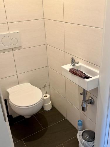 a bathroom with a toilet and a sink at AH Carinthia Mallnitz - Carinthia Appartements in Mallnitz