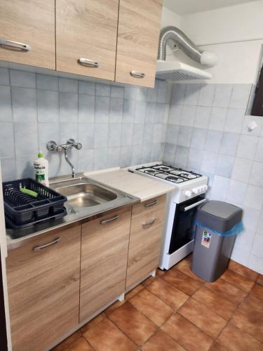 une petite cuisine avec un évier et une cuisinière dans l'établissement Friendly Guesthouse Kecskemét, à Kecskemét