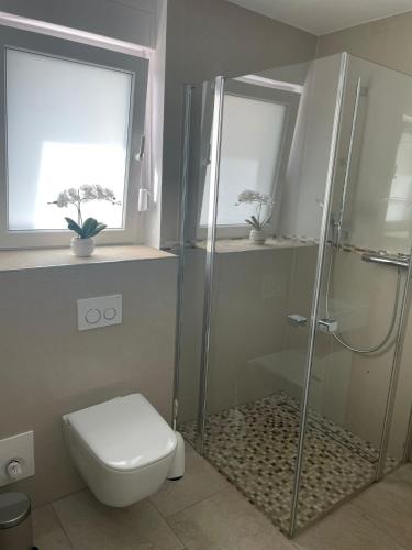 a bathroom with a shower and a toilet and two windows at Ferienwohnung Nelly in Wermelskirchen