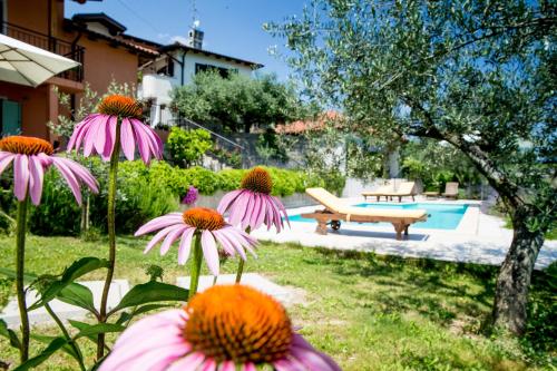 a group of flowers in a yard with a pool at Zoi Apartments in Dobrovo