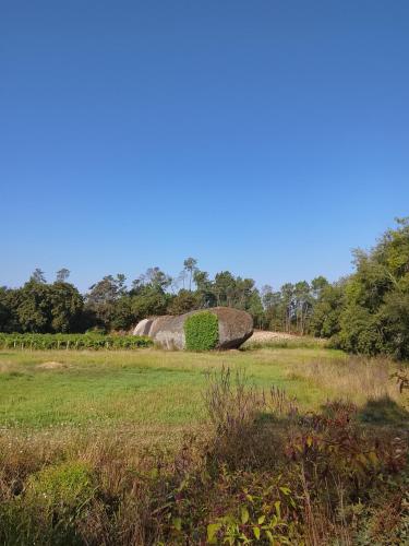 a large haystack in a field of grass at Alojamento 4 in Monção