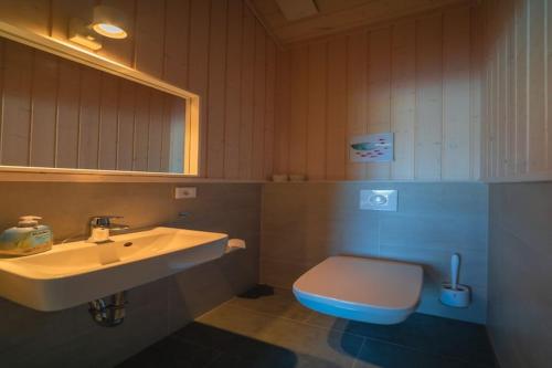 a bathroom with a white sink and a toilet at Ferienhaus mit Pool und Sauna am Duemmer See in Dümmer