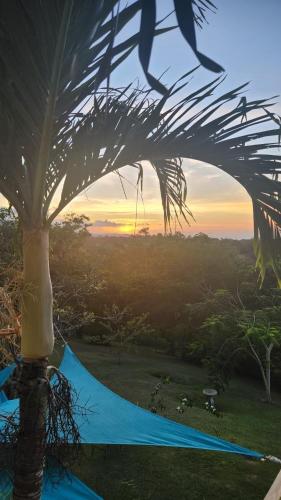 Upton apartment Ocho rios
