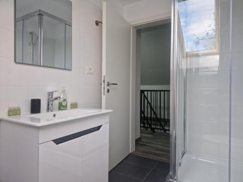 a white bathroom with a sink and a shower at Sunny Hill Apartments in Sînpetru