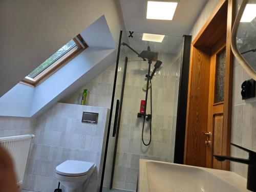 a bathroom with a shower and a toilet at Domek nad rzeką in Joniec