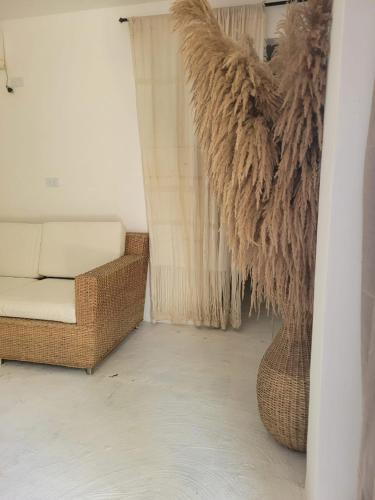 Gallery image of Waikiki Beach Boutique Hostel in Dibulla
