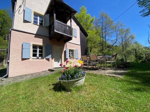 a house with a pot of flowers in the yard at Wanderer Paradies in Pirna