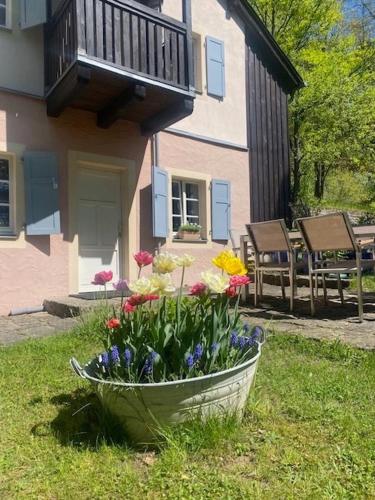 a bucket of flowers in the grass in front of a house at Wanderer Paradies in Pirna