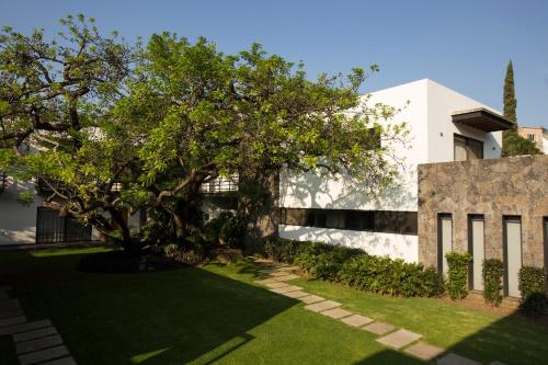a garden with a tree and a building at Hotel Boutique Casa Fernanda in Tepoztlán