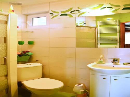 a bathroom with a toilet and a sink at House near Lake Zawiat and Baltic Sea in Bieszkowice