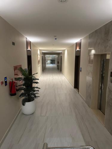 a hallway in a building with a potted plant at الواجهة in Buraydah