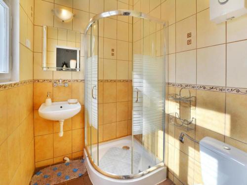 a bathroom with a shower and a sink and a toilet at Holiday home with fireplace and private garden in Grąbczyn