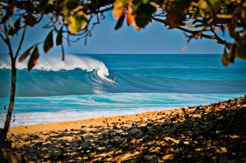 a surfer riding a wave in the ocean at Upscale Penthouse with Ocean Views - Free Parking in Honolulu
