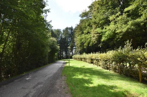 a dirt road with a fence and trees and grass at Ein Traum im Leechwald nähe LKH in Graz
