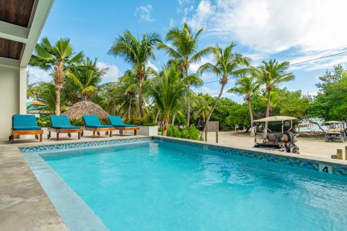 a pool at a resort with blue chairs and palm trees at Hibisco Belize in San Pedro