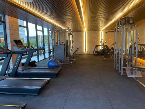 siłownia z bieżniami i maszynami w pomieszczeniu w obiekcie Resort alto padrão em Muro Alto, de 25 setembro a 02 outubro 2025 w mieście Ipojuca