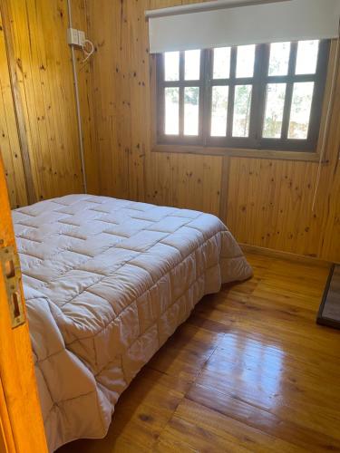 a bed in a wooden room with a window at Complejo Juan Pablo in Colón