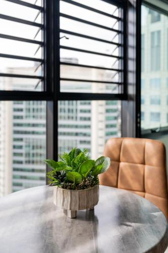 a potted plant sitting on top of a table at Iconic CBD Gem - Stroll to QVB & Opera House in Sydney
