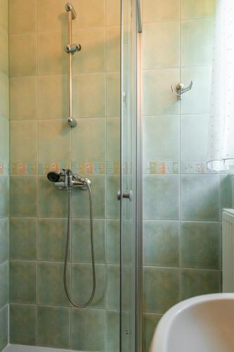 a shower with a glass door in a bathroom at Dom Wypoczynkowy Elżbieta in Poronin