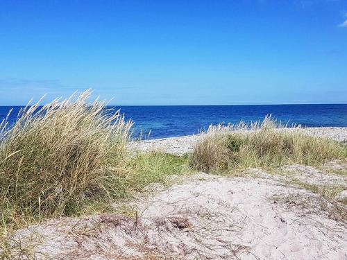 a sandy beach with tall grass and the ocean at Charming Retreat by Water - By Traum Ferienwohnungen in Nykøbing Sjælland