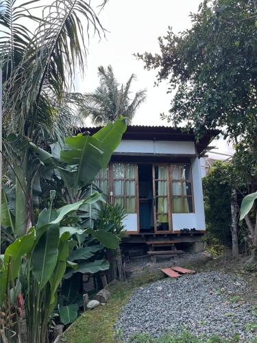 Κήπος έξω από το Hostal Estrella de Agua