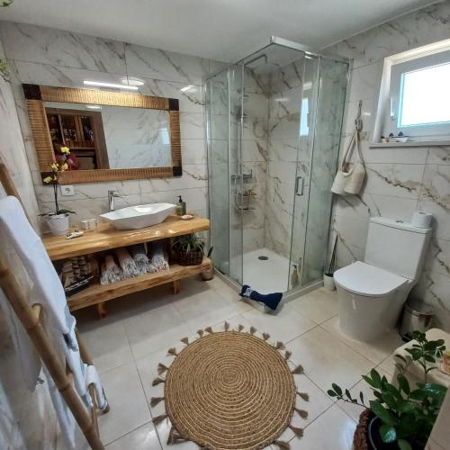 a bathroom with a shower and a toilet and a sink at Villa Luna in Boa Viagem