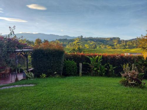 a garden with a view of a field and mountains at EL HOSTAL DE FIDELINA in Santa Rosa de Cabal