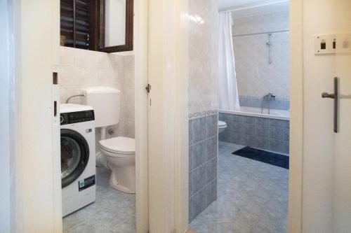 a bathroom with a toilet and a washing machine at Apartments with parking space Sveti Lovrec, Central Istria - Sredisnja Istra - 24888 in Medaki