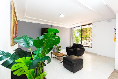 a living room with a chair and a plant at Hotel Costa Caribe BAQ in Barranquilla
