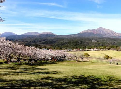 a view of the mountains from a park withakura trees at 貸切温泉宿 Shiny inn Kirishimaシャイニーイン霧島 in Kirishima