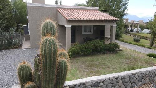 Zahrada ubytování CASAS Viñedos de Cafayate Alquiler Temporario
