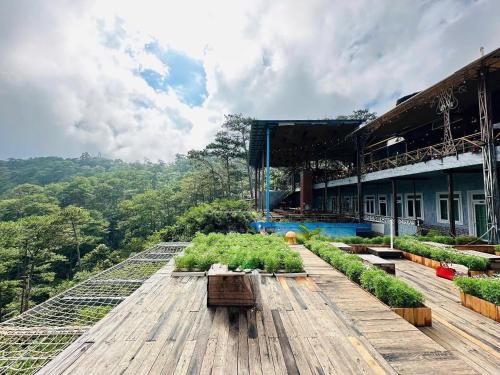 un giardino all'ultimo piano con piante in un edificio di Horizon Coffee-Homestay Đà Lạt a Xuan An