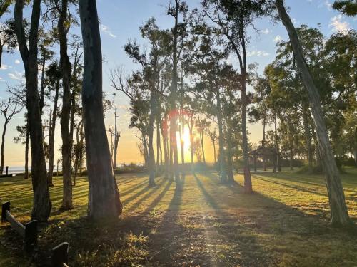 a row of trees in a park at sunset at Esplanade Ease - Absolute Beachfront in Hervey Bay in Point Vernon