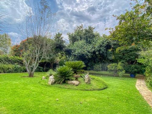 a garden with some plants in the grass at Casa San Pablo in Valle de Bravo
