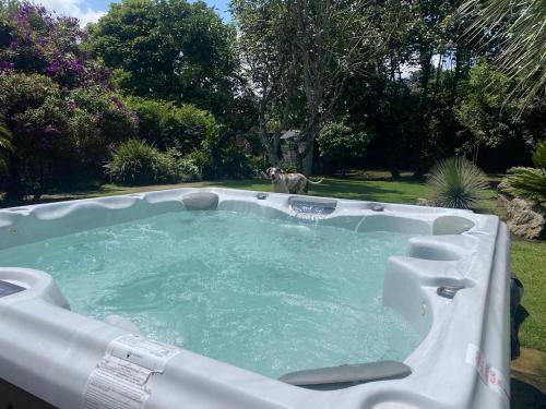 a dog sitting in a hot tub in a yard at Casa San Pablo in Valle de Bravo